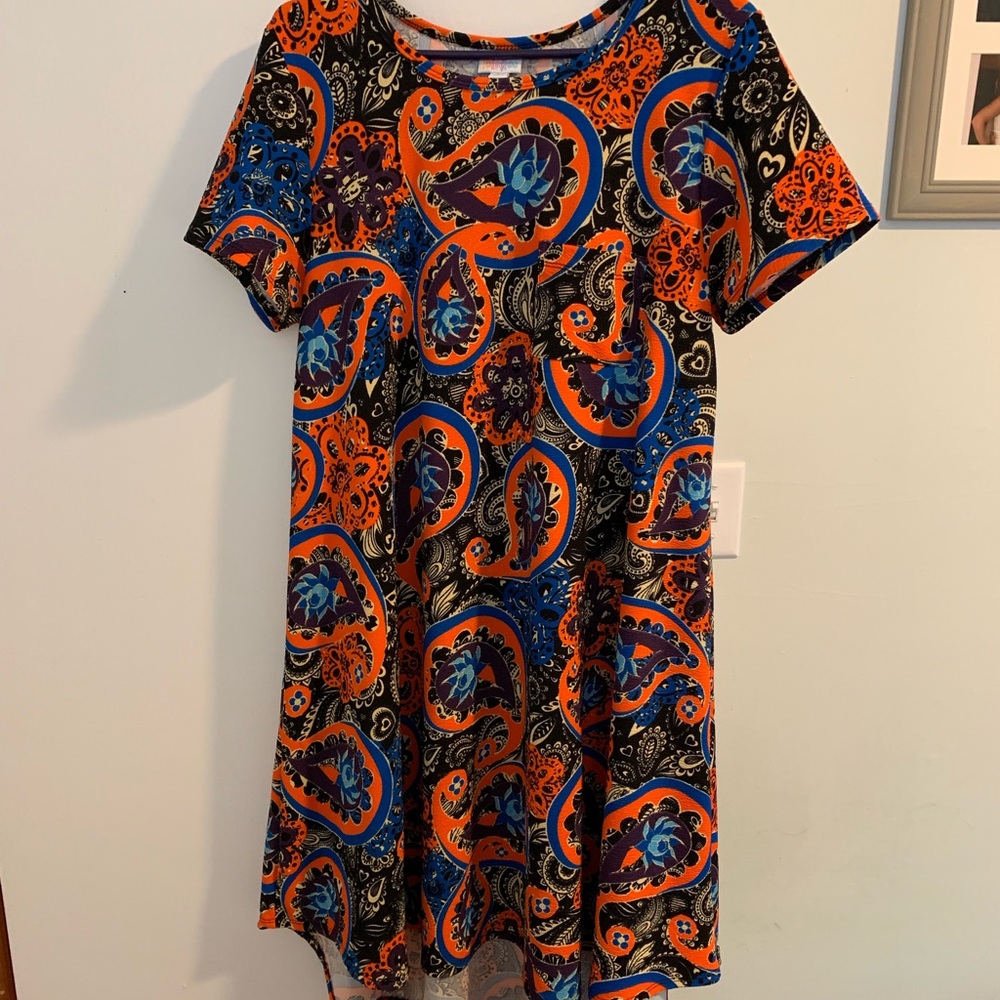 Lightly worn lularoe large carly
